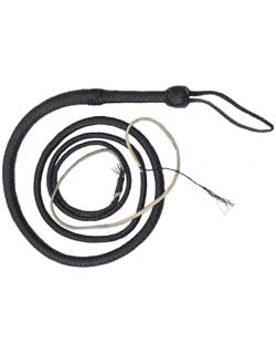 Bullwhip, 8 ft., Black