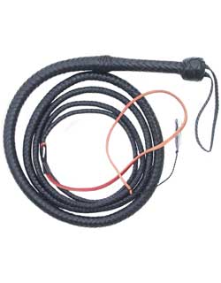 Bullwhip, 10 ft., Black