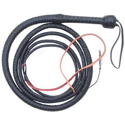 Bullwhip, 10 ft., Black