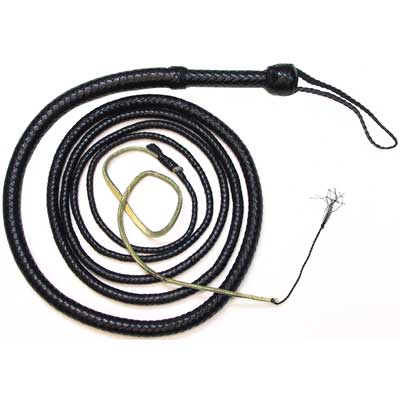 Bullwhip, 12 ft., Black