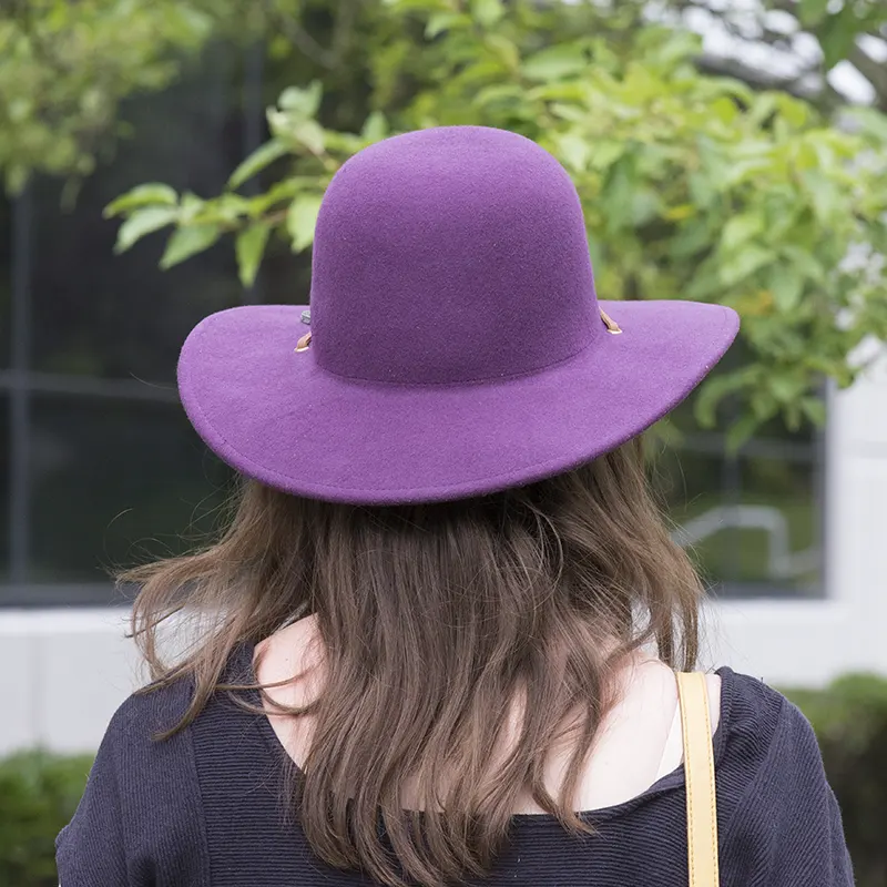 Bird & Feather Hat, Plum, Back View