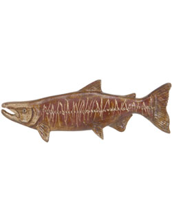 Chum Salmon Pin