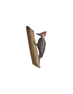 Pileated Woodpecker Pin