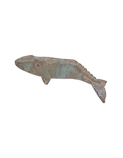 Gray Whale Pin