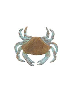 Dungeness Crab Pin