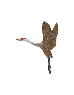 Sandhill Crane Pin