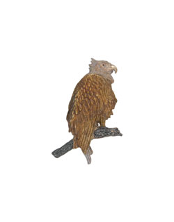 Bald Eagle Pin