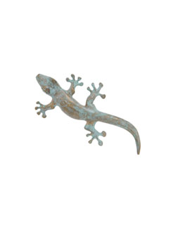 Gecko Pin