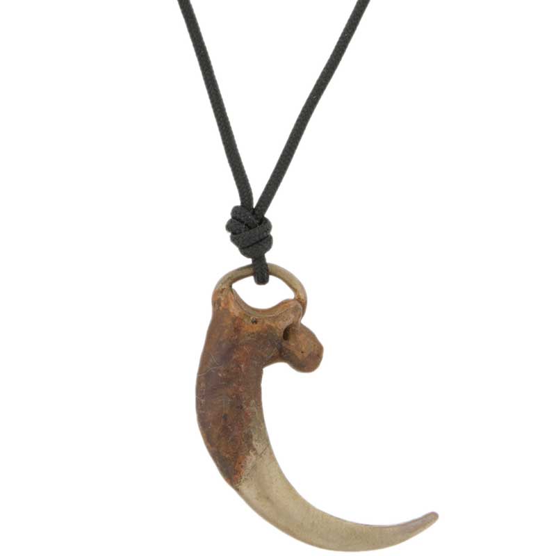 Eagle Talon Pendant by Cavin Richie