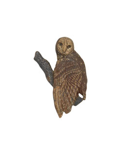 Barn Owl Pin