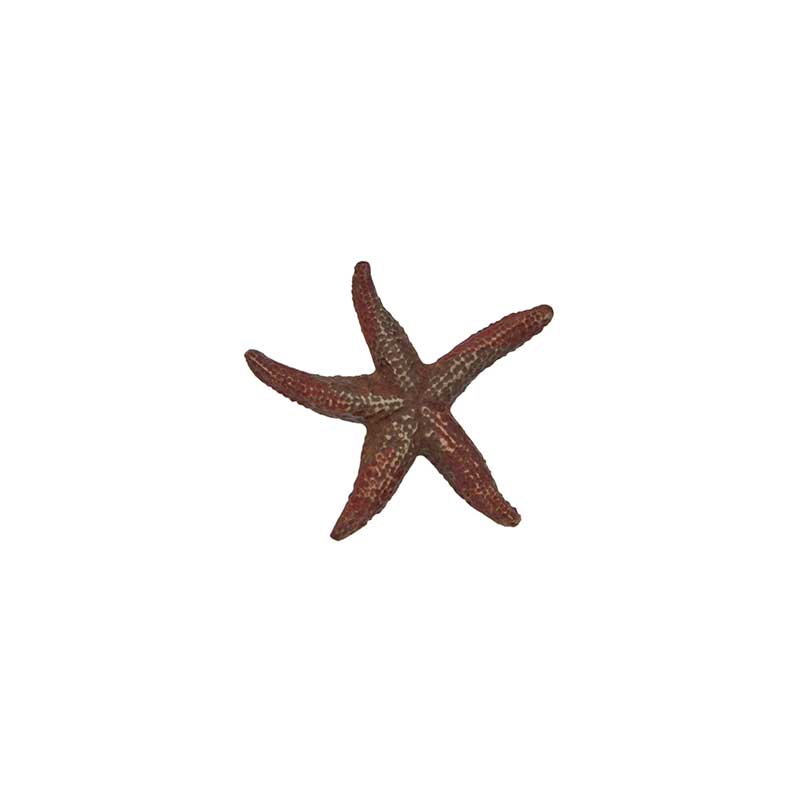 Starfish Pin by Cavin Richie
