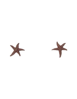 Starfish Earrings, Post