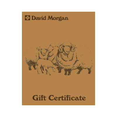 $100 Gift Certificate