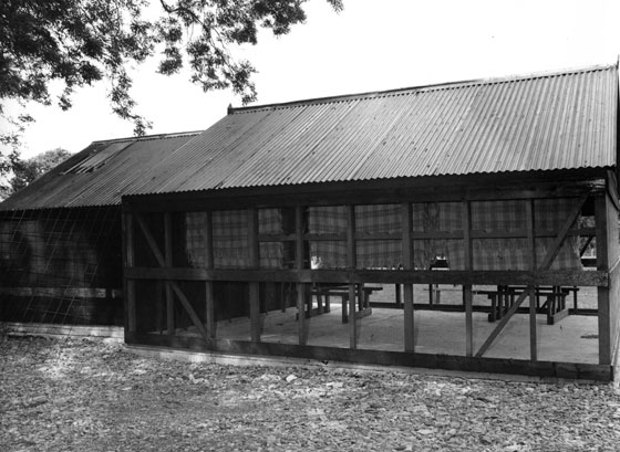 Drying shed