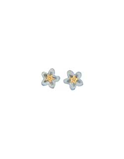 Forget-Me-Not Earrings, Post