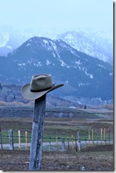 Snowy River. South of Jackson, Wyoming