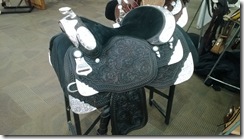 beautiful saddle