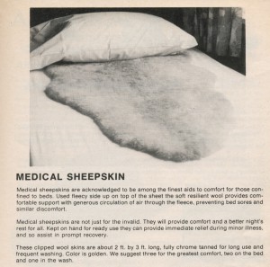 sheepskin-1980
